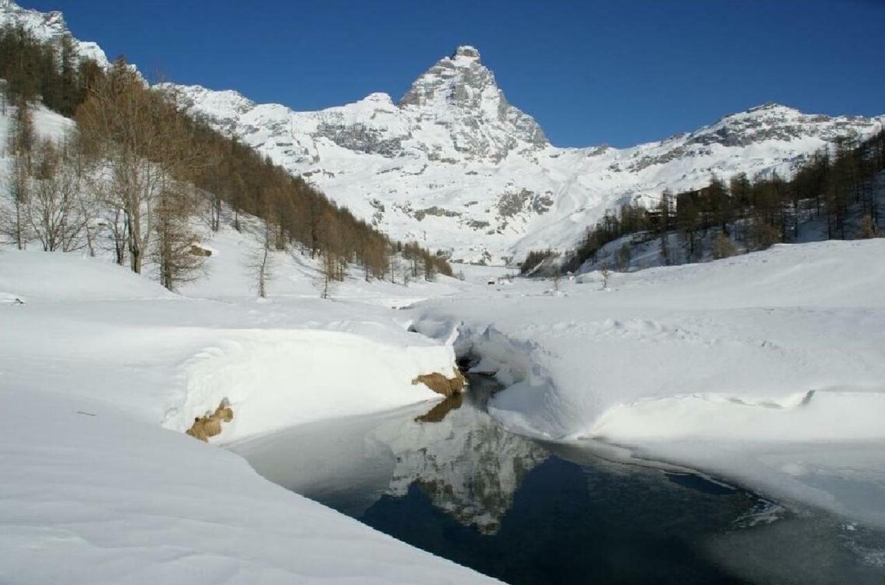Fagus Cervinia Apartment Vda Vacanze In Vetta Cir 0206 Breuil-Cervinia Eksteriør billede